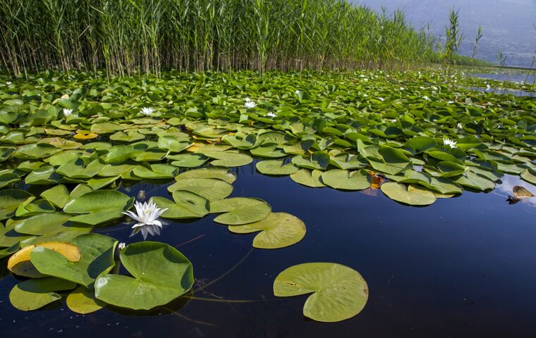 Lavanta - Işıklı Gölü - Salda Gölü Turu