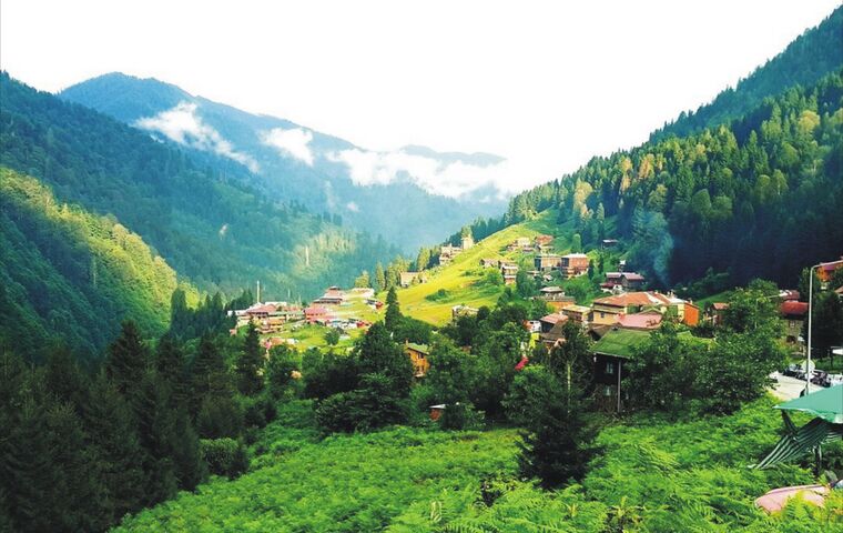 UŞAK ÇIKIŞLI YAYLA YAYLA KARADENİZ