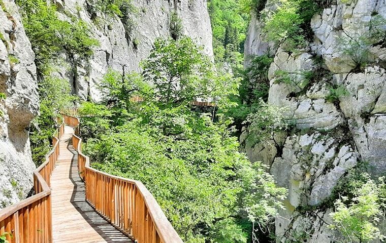 YAYLA YAYLA ÖZEL KARADENİZ TURU FC